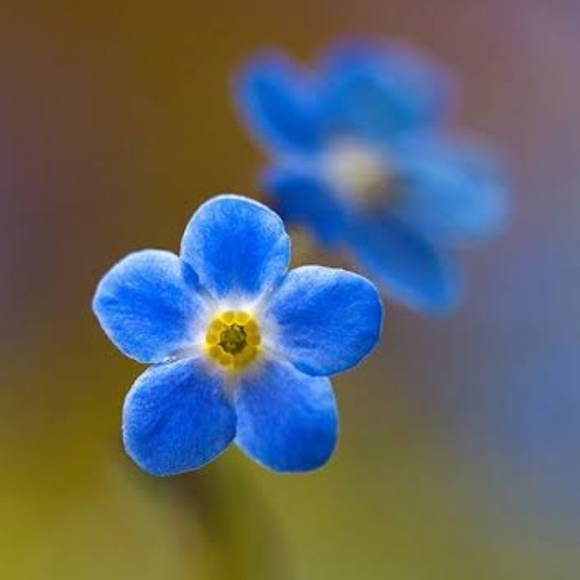 Meet your Posher, Laura - Picture 1 of 1